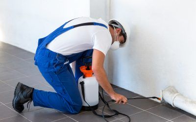 Manual worker spraying insecticide on pipe against wall