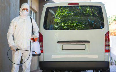 Pest control man in protective workwear standing behind a van
