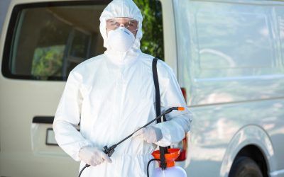Portrait of pest control man standing behind a van