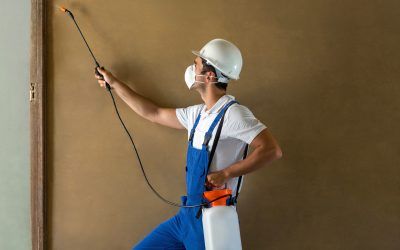 Side view of manual worker spraying chemical on wall while wearing protective wear